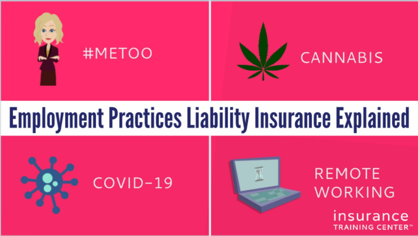 Employment Practices Liability Insurance Explained - Insurance